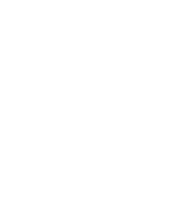 plane-icon-white